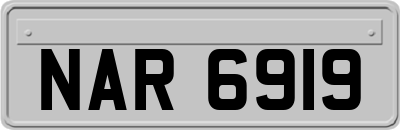 NAR6919