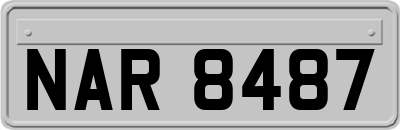 NAR8487