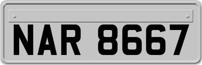 NAR8667