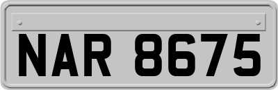 NAR8675