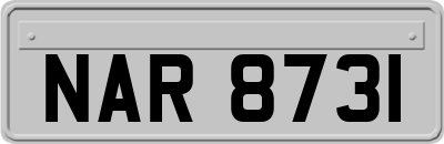 NAR8731