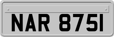 NAR8751