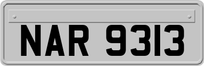 NAR9313