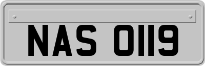 NAS0119