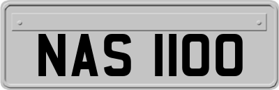 NAS1100