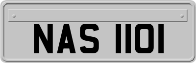 NAS1101