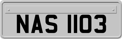 NAS1103