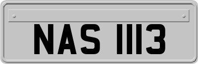 NAS1113