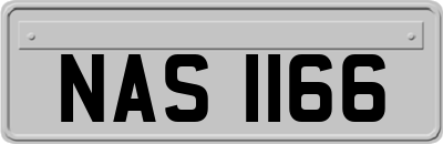 NAS1166