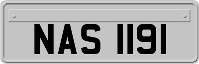 NAS1191