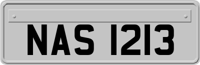 NAS1213