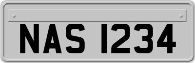 NAS1234