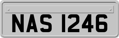 NAS1246