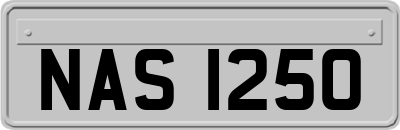 NAS1250