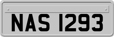 NAS1293