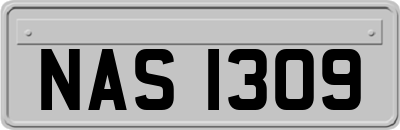 NAS1309