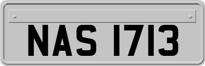 NAS1713