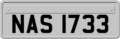 NAS1733