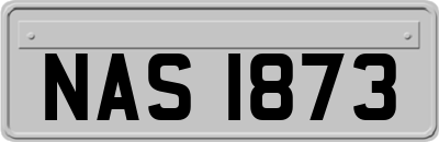 NAS1873