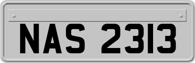 NAS2313