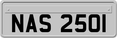 NAS2501