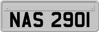 NAS2901