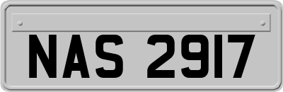 NAS2917