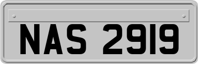 NAS2919