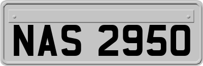 NAS2950