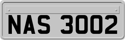 NAS3002