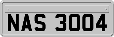 NAS3004