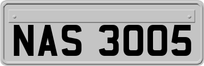 NAS3005