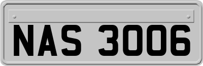 NAS3006