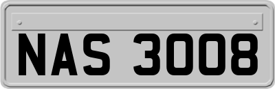 NAS3008