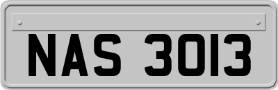 NAS3013