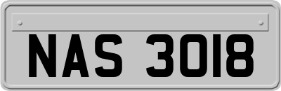 NAS3018