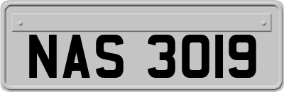 NAS3019