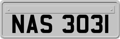 NAS3031