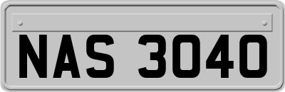 NAS3040