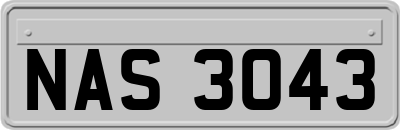 NAS3043