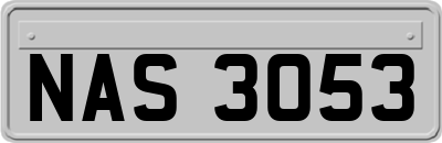 NAS3053