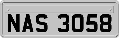 NAS3058