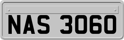 NAS3060