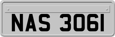 NAS3061