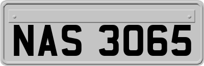 NAS3065