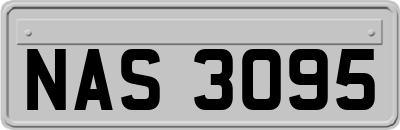 NAS3095