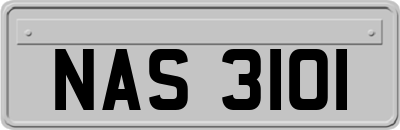 NAS3101