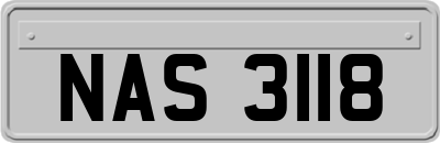 NAS3118