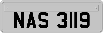 NAS3119