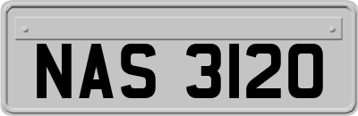 NAS3120